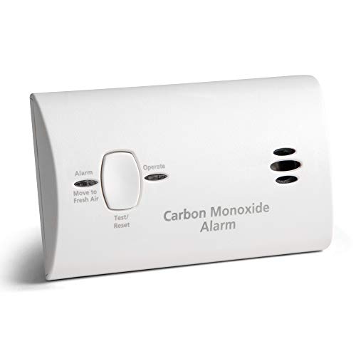 Carbon Monoxide Detector for Traveling