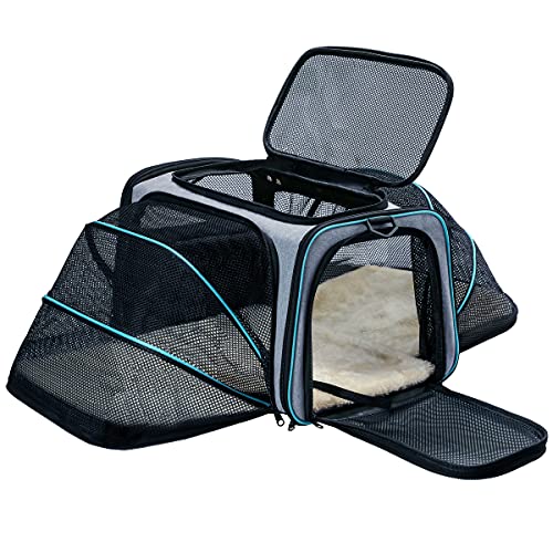 Cat Carriers for Traveling in the Car