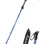 Collapsible Walking Sticks for Travel