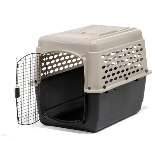 Crate for Dog Air Travel: Top Durable and Airline-Friendly Options Reviewed