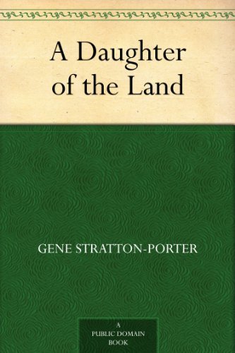 Gene Stratton Porter Travel Plaza