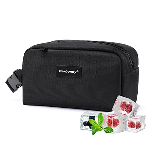 Insulated Travel Bag for Food: Keep Meals Fresh On-The-Go Easily