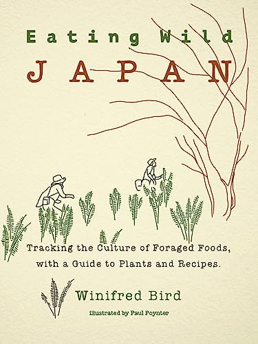 Off the Grid Japan Travel: Essential Guides for Wild Food and Adventure