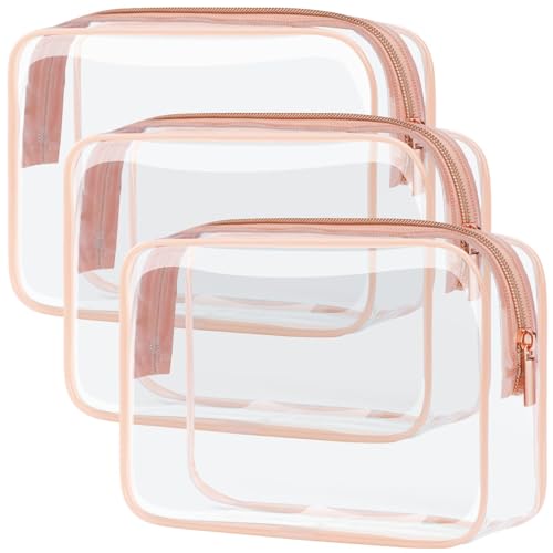 Plastic See Through Medication Travel Case