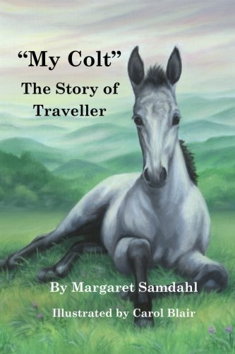 Robert E Lee And Traveller: Unveiling The Myth And Legacy Together