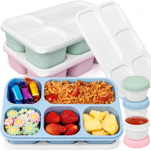 Shop Lunch Boxes & Travel Food Containers for Stylish Meal Prep Solutions