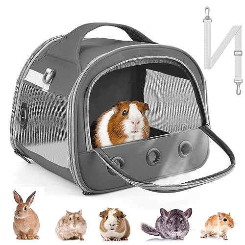 Travel Cages for Guinea Pigs