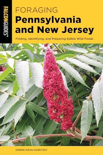 Travel Nurse Positions in Pennsylvania: Top Foraging Tips for Nurses