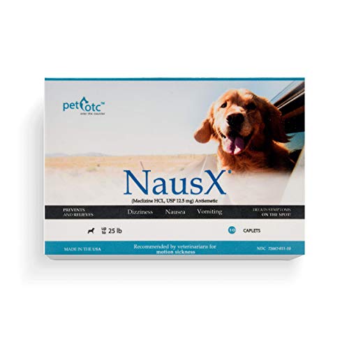 Travel Sickness Medicine for Dogs: Top Solutions for Motion Sickness Relief
