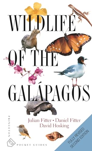 Visit the Galapagos Islands Travel: Ultimate Guides for Wildlife and Adventure