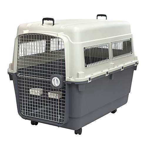 Airline Approved Travel Crate for Large Dogs: Top Durable Options Reviewed