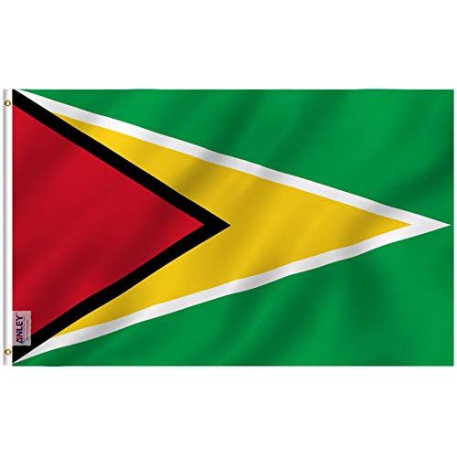 Airlines That Travel to Guyana: Top Flights to Fly with Guyana Flag Gear