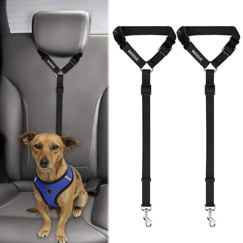 Car Accessories for Dog Travel
