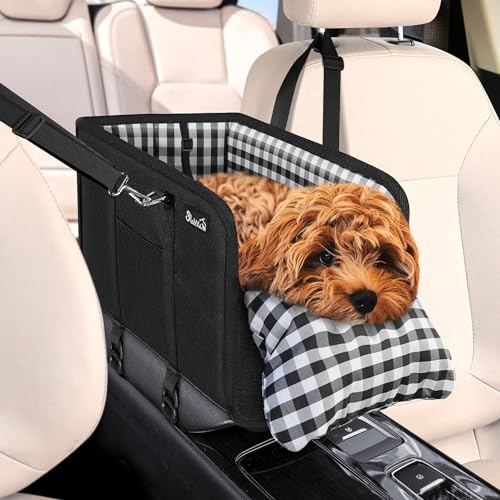 Dog Carrier for Car Travel: Top Safe and Comfortable Options Reviewed