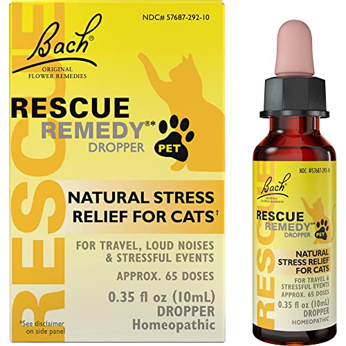 Medication for Cats for Travel: Top Calming Solutions to Reduce Anxiety