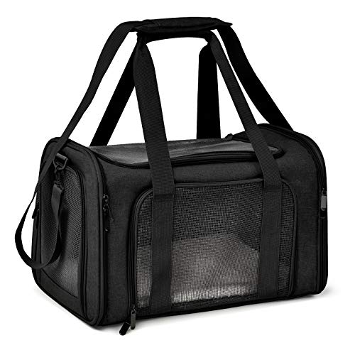 Small Dog Airline Travel Carrier
