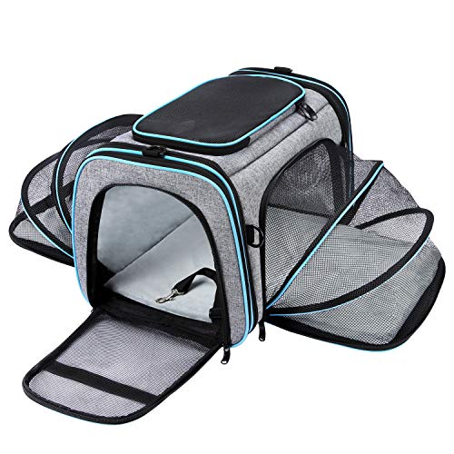 Travel Bag Dog Airline Approved: Best TSA Soft-Sided Pet Carriers