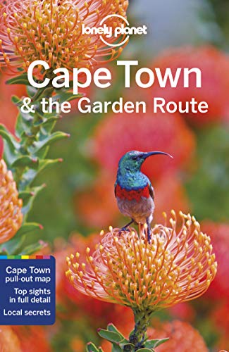 Travel Packages to Cape Town South Africa: Ultimate Guide to Top Travel Books