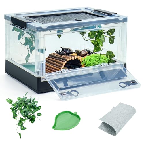 Travel Tank for Bearded Dragon: Top Portable Terrariums for Easy Transport