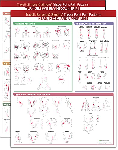 Travell And Simons Trigger Point Chart