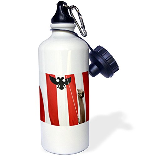 Viking Travel Inc Petersburg Alaska: Explore with 3D Viking Ship Water Bottle